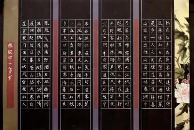 免费培训，14个班！10日开始线上报名