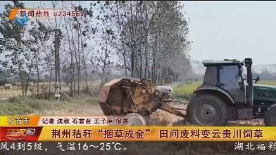 荆州秸秆“捆草成金”  田间废料变云贵川饲草