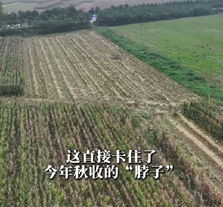 4.84亿防灾救灾资金下达！