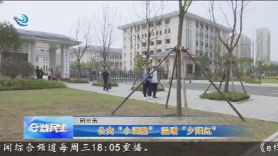 公交“小调整”  温暖“夕阳红”