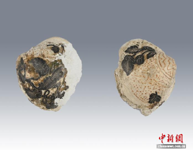 西安发现唐代宰相张九龄夫人墓 较为罕见葬回祖茔