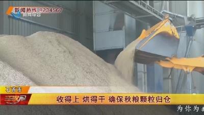 收得上  烘得干  确保秋粮颗粒归仓