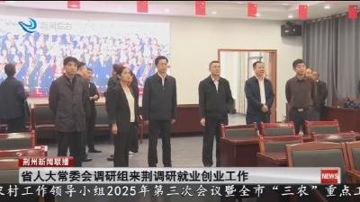 省人大常委会调研组来荆调研就业创业工作