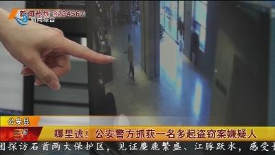 哪里逃! 公安警方抓获一名多起盗窃案嫌疑人