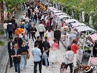 图集 | 雨中的宾阳楼游客兴致不减
