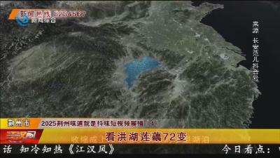 短视频展播：看洪湖莲藕72变