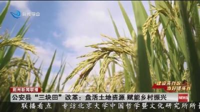 公安县“三块田”改革: 盘活土地资源 赋能乡村振兴