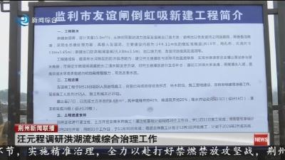 汪元程调研洪湖流域综合治理工作