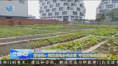 郢城镇: 闲置空地多元改造 环境整治成效亮眼