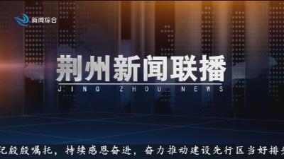 荆州新闻联播 2025-11-15