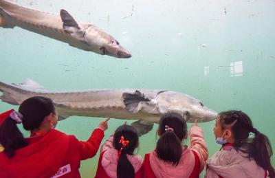 荆州广播电视台全新原创少儿节目—《荆州少年行》重磅来袭