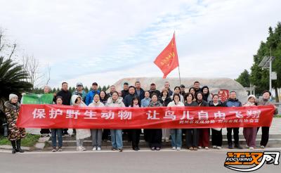 走进湿地，感受一场生动的鸟类保护宣传课