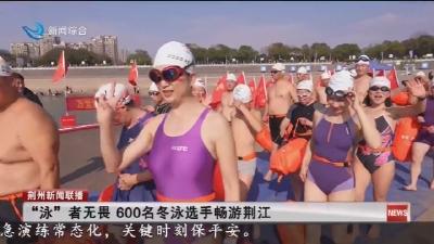“泳” 者无畏  600名冬泳选手畅游荆江