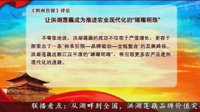 让洪湖莲藕成为推进农业现代化的 “璀璨明珠”