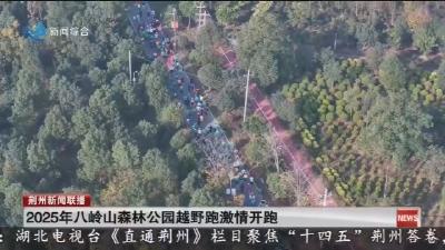 2025年八岭山森林公园越野跑激情开跑