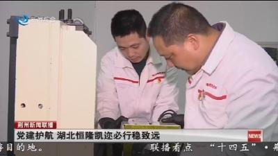 党建护航 湖北恒隆凯迩必行稳致远