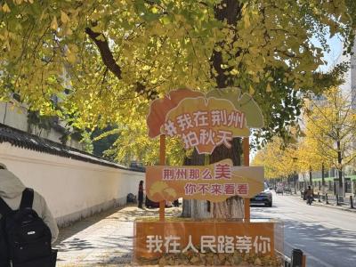 荆州人民路上新了！“微改造”精绣城市“会客厅” 