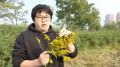 荆州已出现，发现请立即上报！