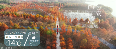 早安·荆州丨荆州这里，水杉红了