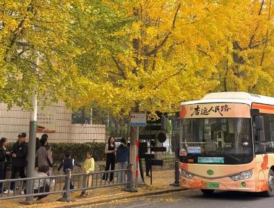 不只看银杏，荆州区人民路还可以这样玩！