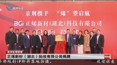 正烯新材(湖北)科技有限公司揭牌