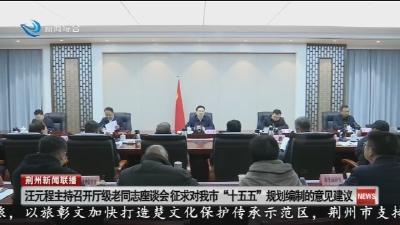 汪元程主持召开厅级老同志座谈会征求对我市 “十五五” 规划编制的意见建议