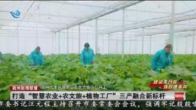打造“智慧农业+农文旅+植物工厂”三产融合新标杆