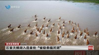 短消息：石首天鹅湖入选首批 “省级幸福河湖“