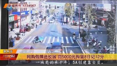 网购假牌进校园   罚5000元拘留8日记12分
