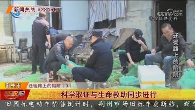 科学取证与生命救助同步进行