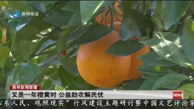 又是一年橙黄时 公益助农解民忧