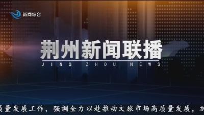 荆州新闻联播 2025-11-10