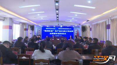 携手启新程，香飘千万里——“荆州味道”农产品区域公用品牌运营授权签约，开启品牌强农新篇章