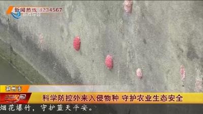 科学防控外来入侵物种 守护农业生态安全
