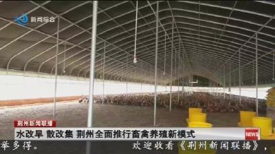 水改旱 散改集 荆州全面推行畜禽养殖新模式