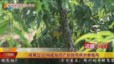 凝聚合力 构建知识产权协同保护新格局