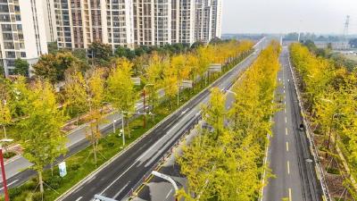 今天12时04分，荆州正式进入……