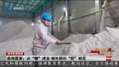 益海嘉里:点“糠”成金 催生稻谷“新”蜕变