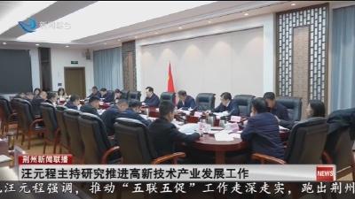 汪元程主持研究推进高新技术产业发展工作