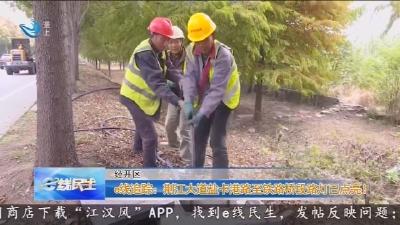 e线追踪: 荆江大道盐卡港路至铁路桥段路灯已点亮!