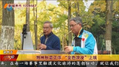 荆州秋意正浓  “金色浪漫” 上线