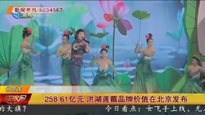258.61亿元  洪湖莲藕品牌价值在北京发布
