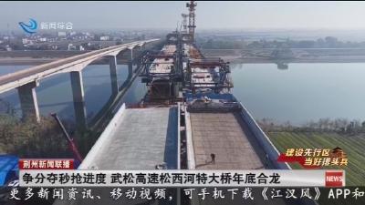 建设先行区 当好排头兵: 争分夺秒抢进度  武松高速松西河特大桥年底合龙