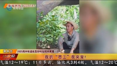 我的 “员工” 我来宠!