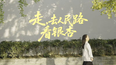 这周日，爆火的“顶流”银杏伞来啦！