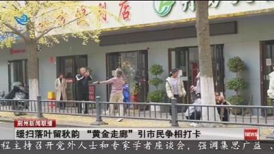 缓扫落叶留秋韵 “黄金走廊” 引市民争相打卡