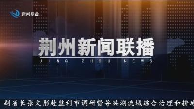 荆州新闻联播  2025-11-19