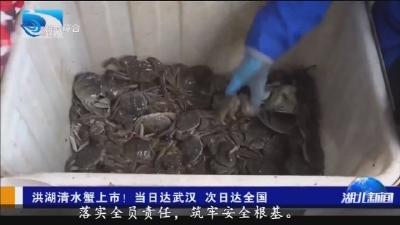 洪湖清水蟹上市! 当日达武汉  次日达全国