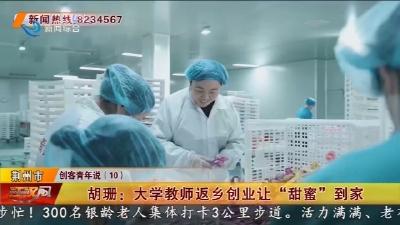 胡珊: 大学教师返乡创业让 “甜蜜” 到家