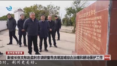 副省长张文彤赴监利市调研督导洪湖流域综合治理和耕地保护工作